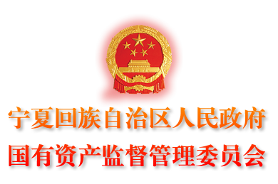 我司与宁夏国资委员会合作多个项目，受到了客户的认可。